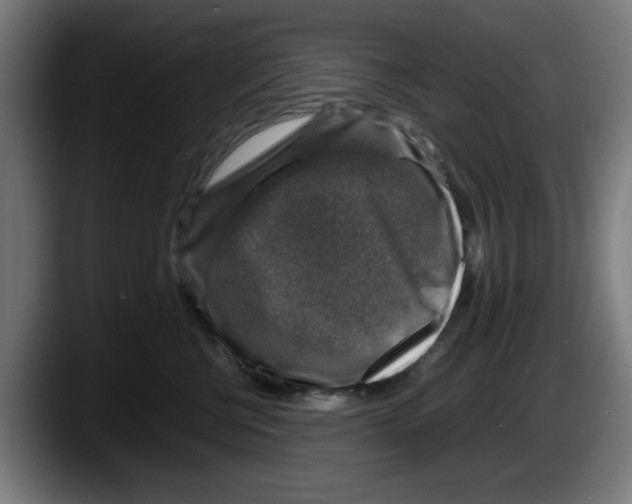 X0000087600570200705251924