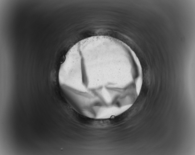 X0000087600571200705251924