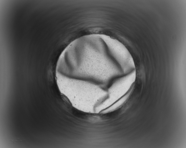 X0000087600572200705251924