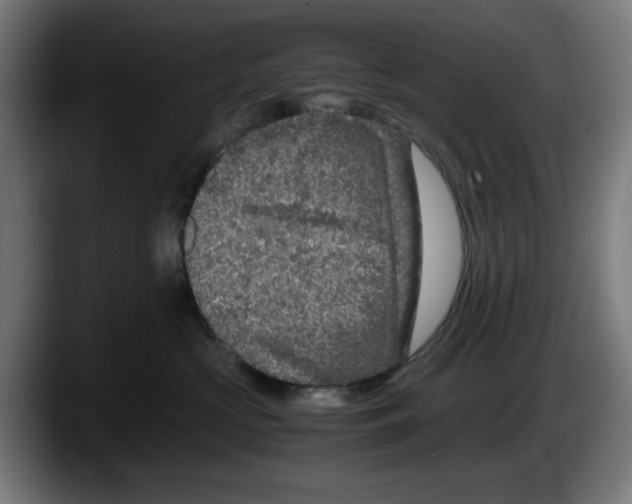 X0000087600573200705251924