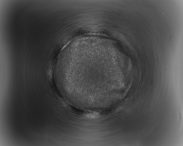 X0000087600576200705251924