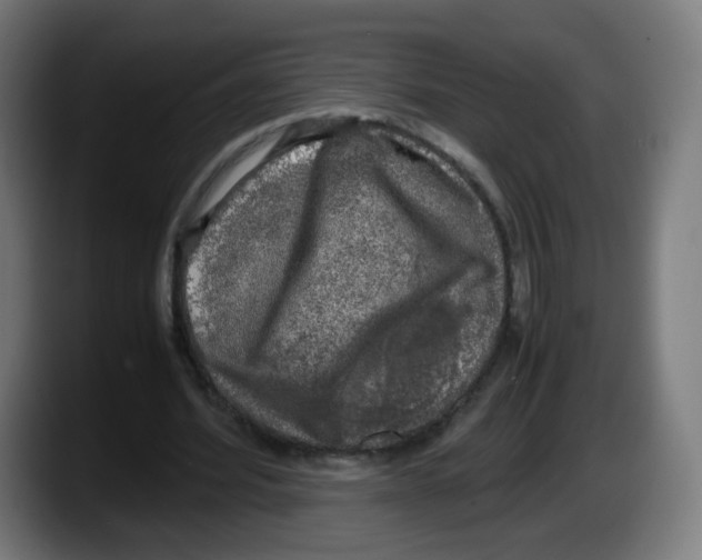 X0000087600580200705251924