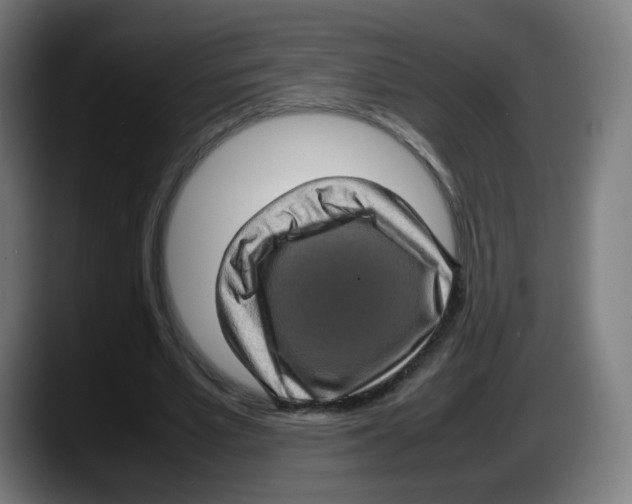 X0000087600581200705251924