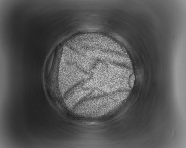 X0000087600582200705251924