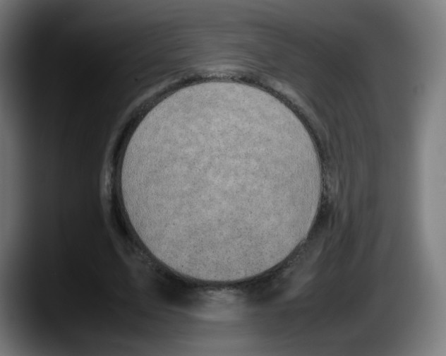 X0000087600583200705251924