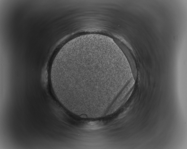 X0000087600584200705251924