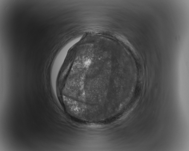 X0000087600585200705251924