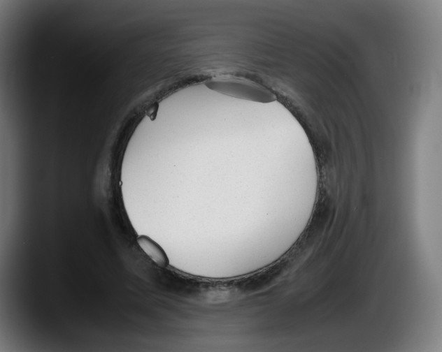 X0000087600587200705251924