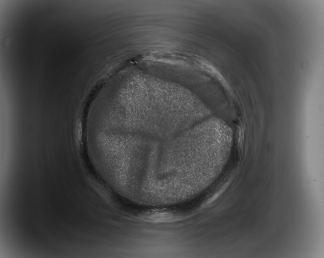 X0000087600589200705251924