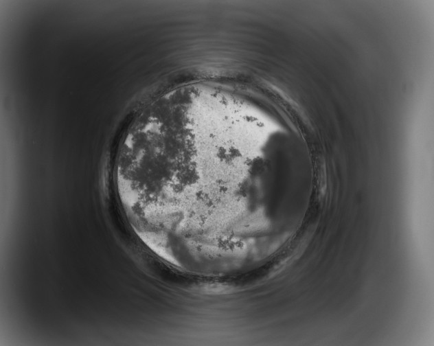 X0000087600590200705251924