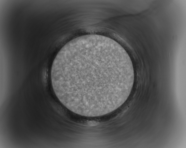 X0000087600592200705251924