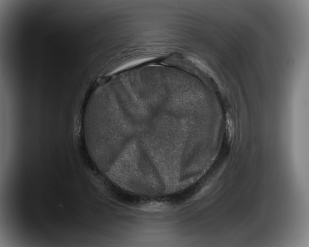 X0000087600593200705251924