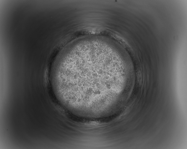 X0000087600594200705251924