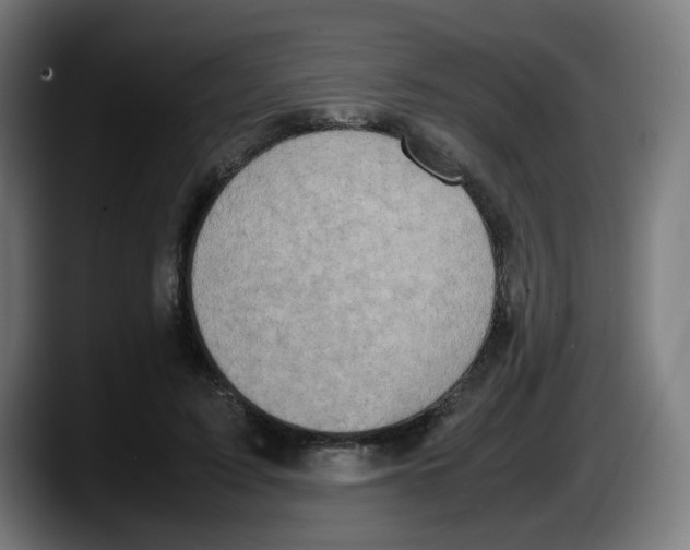 X0000087600595200705251924