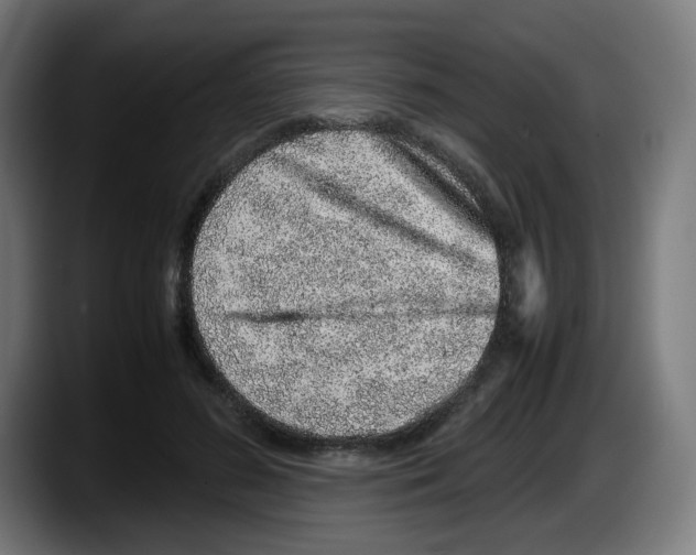 X0000087600596200705251924