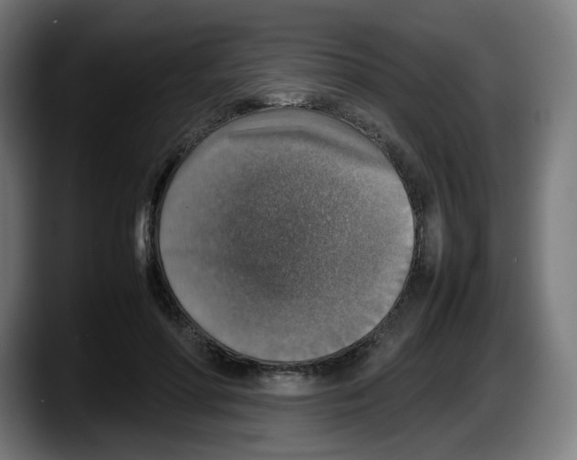 X0000087600598200705251924