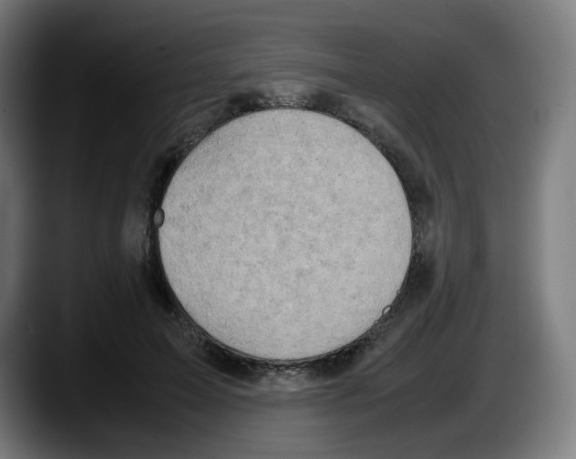 X0000087600599200705251924