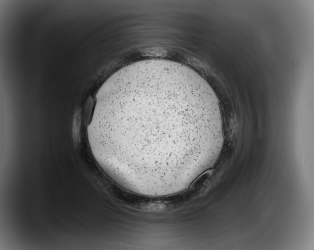 X0000087600600200705251924