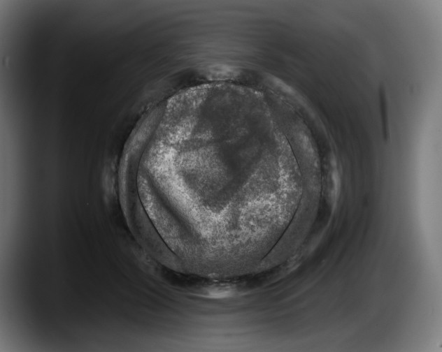 X0000087600604200705251923