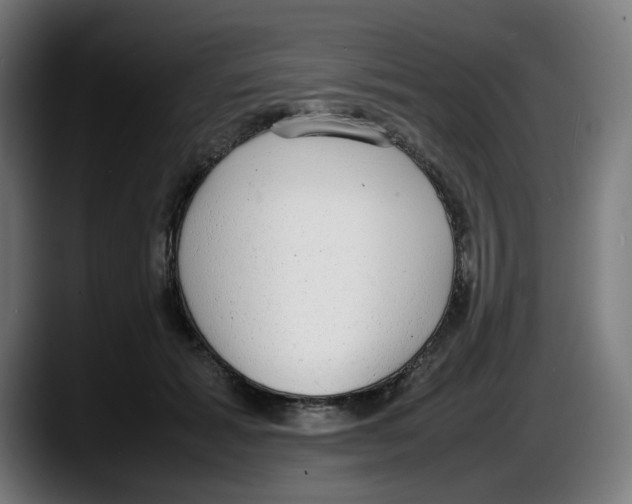 X0000087600605200705251923