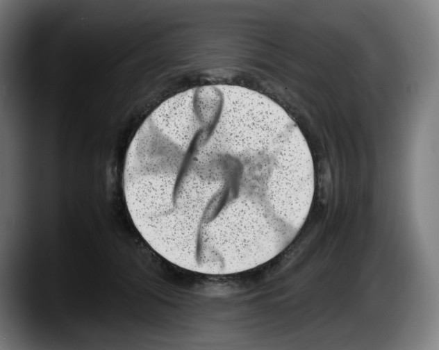 X0000087600608200705251923