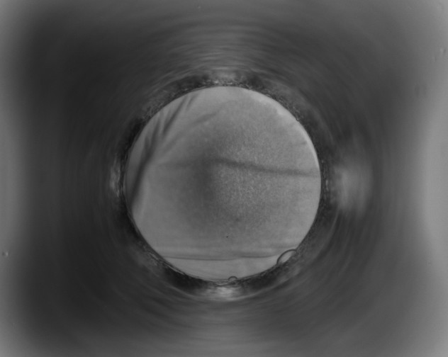 X0000087600610200705251923