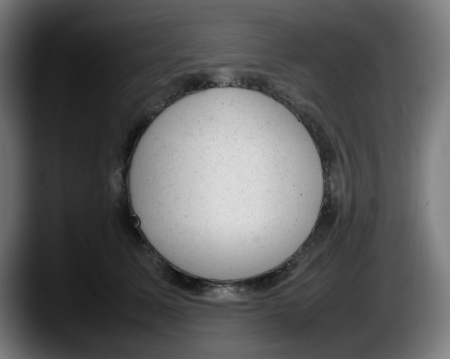 X0000087600611200705251923