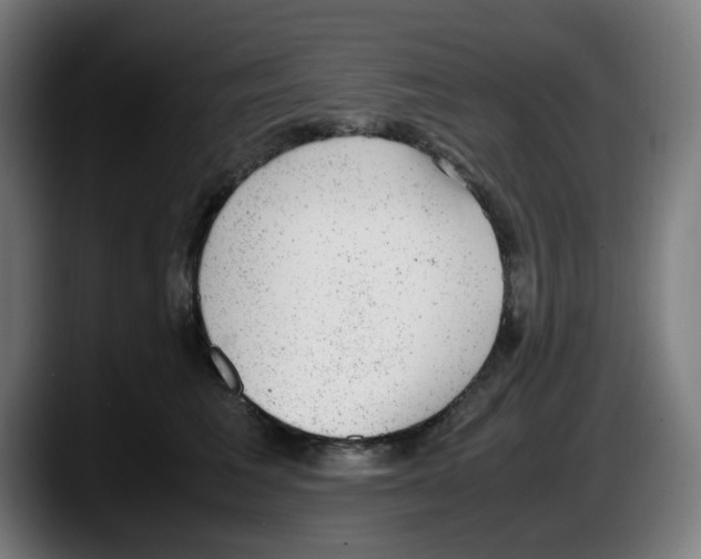 X0000087600613200705251923