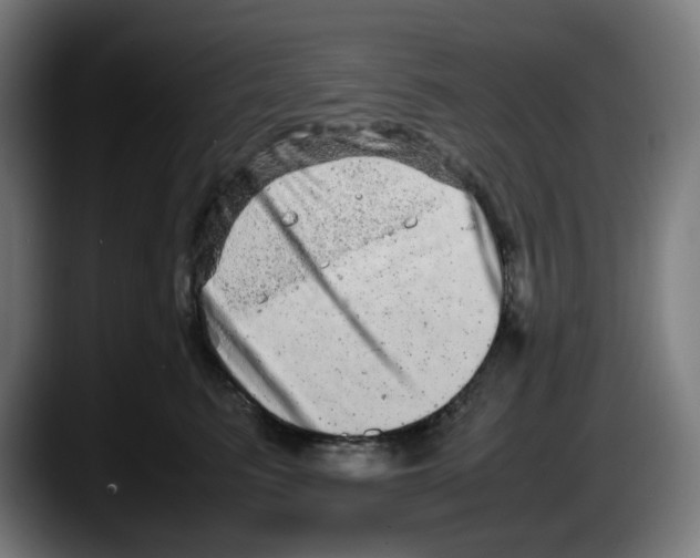 X0000087600615200705251923