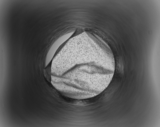 X0000087600616200705251923