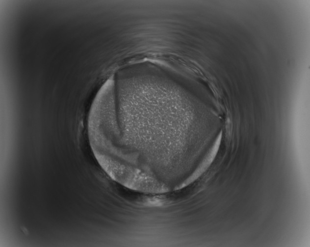 X0000087600618200705251923