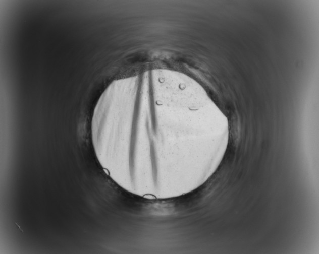 X0000087600619200705251923