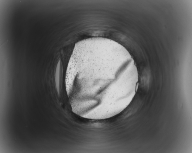 X0000087600620200705251923