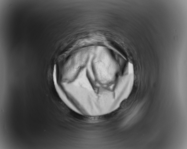 X0000087600623200705251923