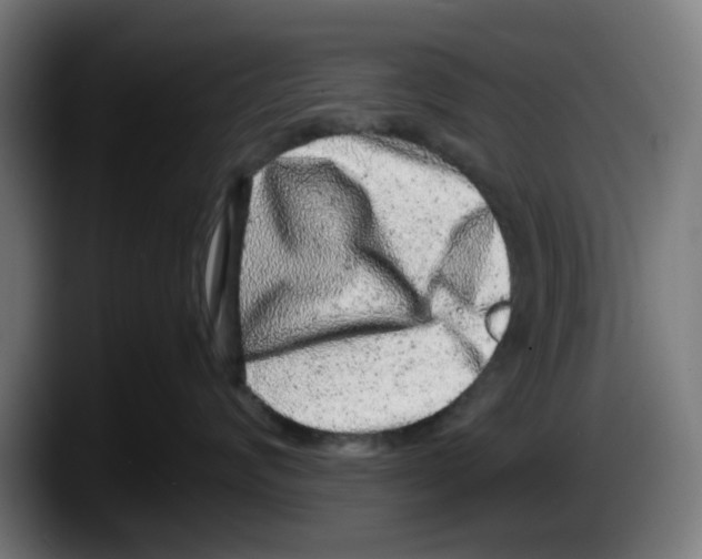 X0000087600624200705251923