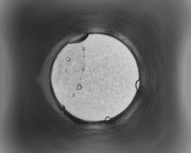 X0000087600625200705251923