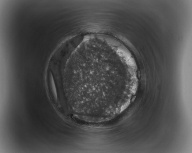 X0000087600626200705251923