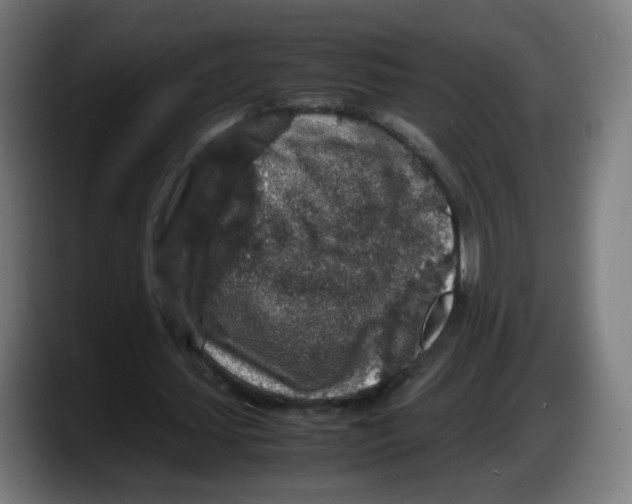 X0000087600627200705251923