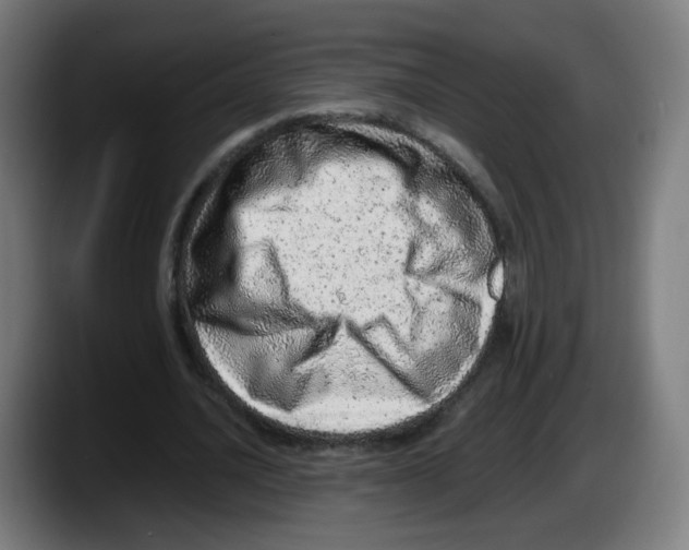 X0000087600628200705251923