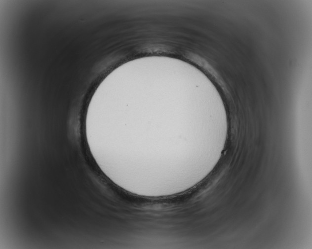 X0000087600629200705251923