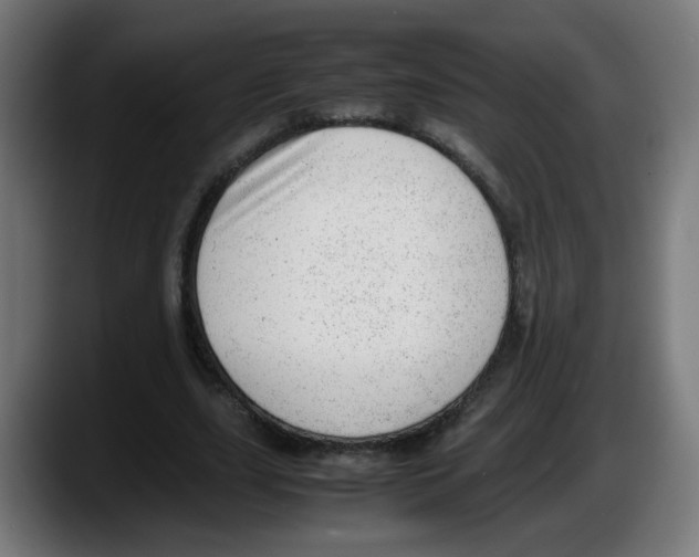 X0000087600631200705251923