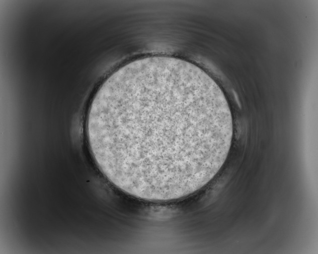 X0000087600632200705251923