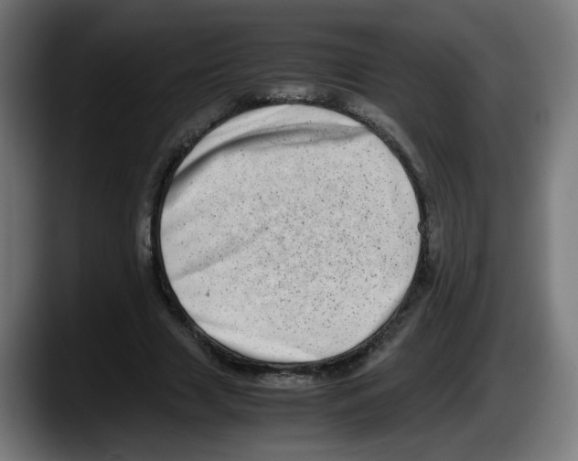 X0000087600633200705251923