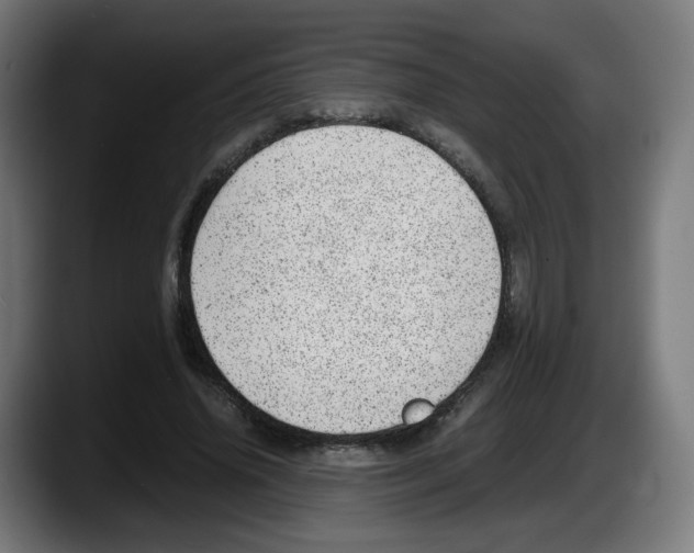 X0000087600636200705251923