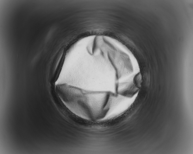 X0000087600638200705251923