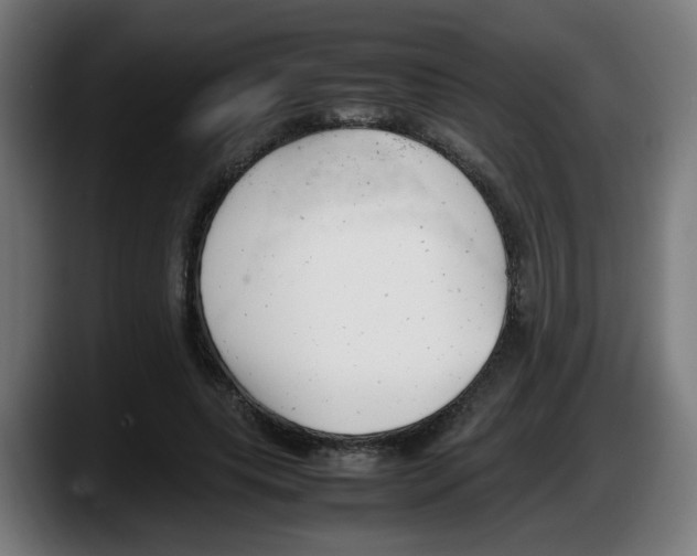 X0000087600639200705251923