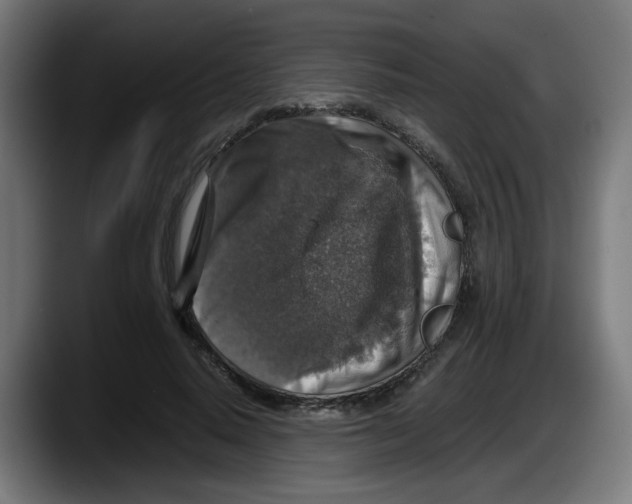 X0000087600640200705251923