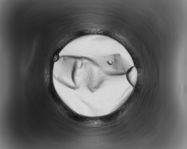 X0000087600642200705251923