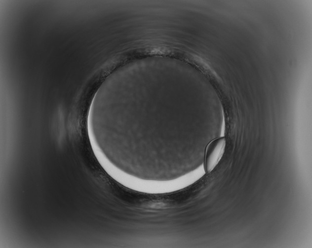 X0000087600643200705251923