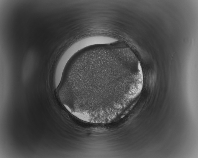 X0000087600644200705251923